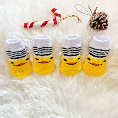 chaussettes pour chien kit