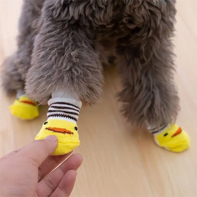 chaussettes pour chien patte