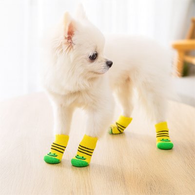chaussettes pour chien salon