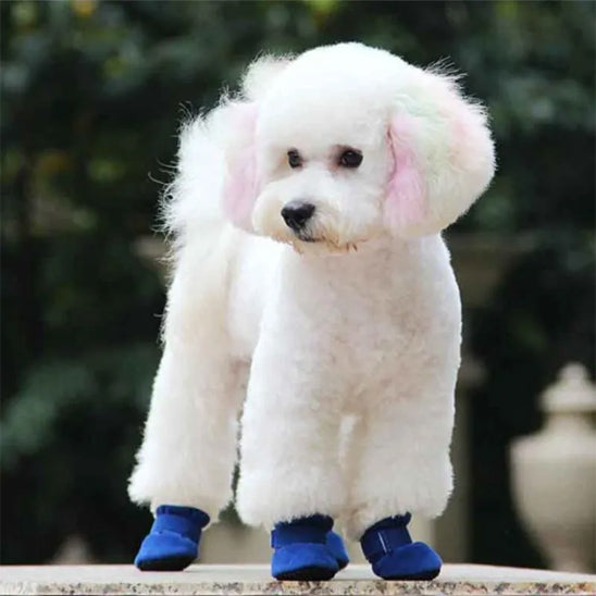 chaussure chien impermeable