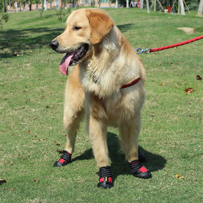 chaussure chien impermeables pawprotect parc