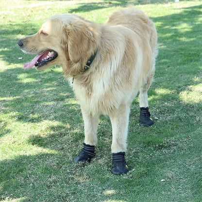 chaussure chien impermeables pawprotect