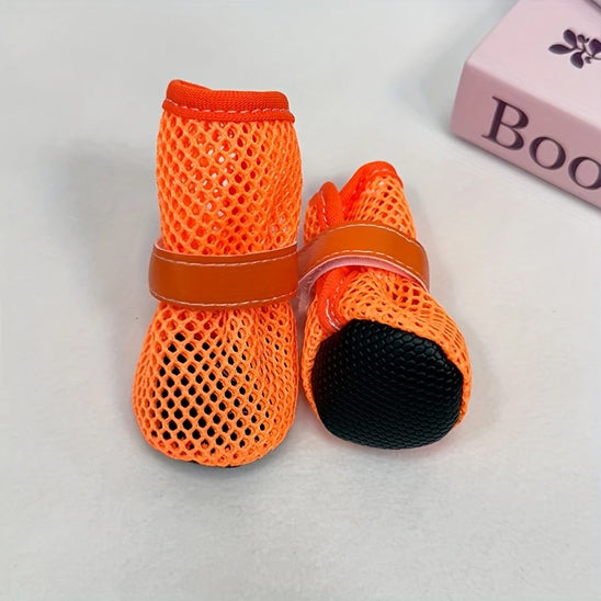 chaussure chien shoescomfort table