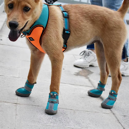 chaussure pour chien impermeableconfort