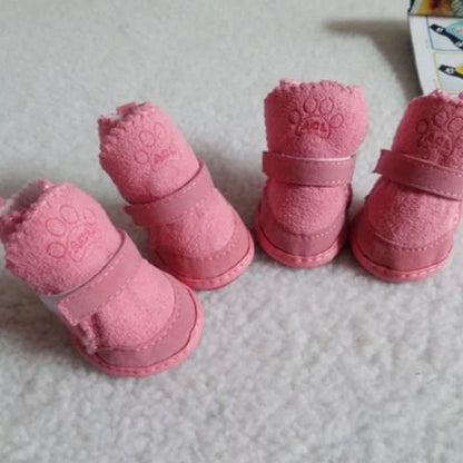 Chaussure pour Chien model