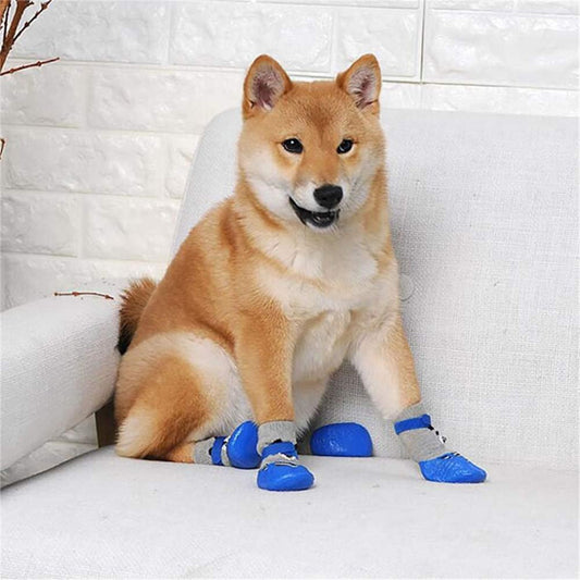 chaussures pour chien impermeable thermique salon