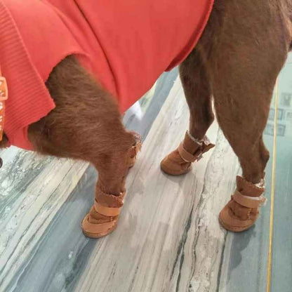 chaussures pour chien impermeable toutes saison habiller