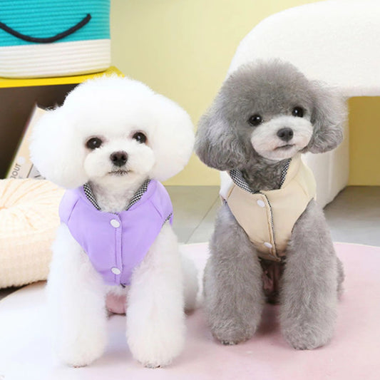 chien manteau wintercoat