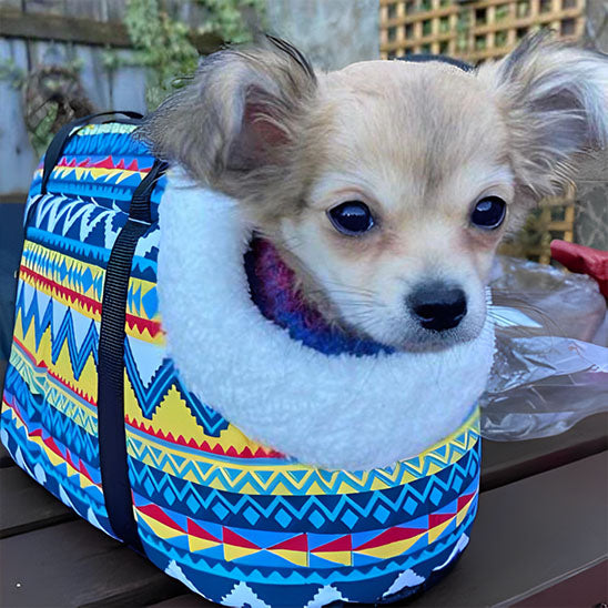 chien sac de transport voyageconfort modeil photo