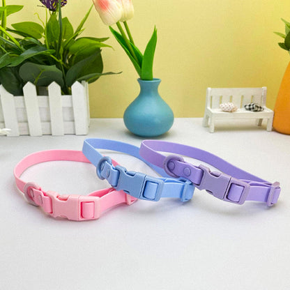 collier chien coloreajustable couleur