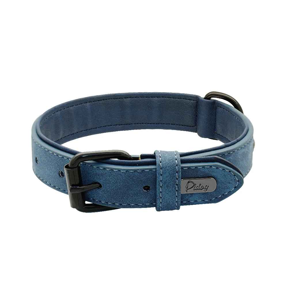 collier chien cuir bleu