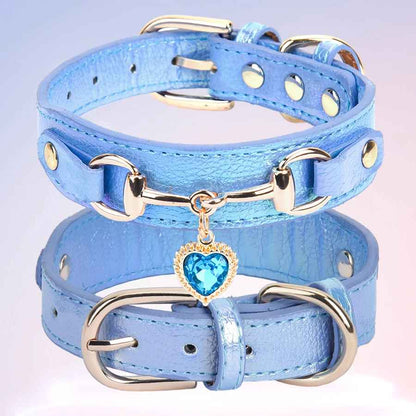 Collier pour Chien  CuirÉlégance ™