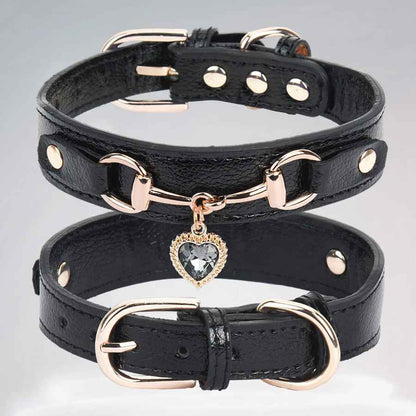 Collier pour Chien  CuirÉlégance ™