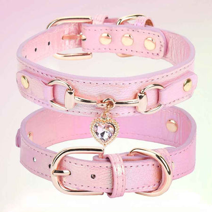 Collier pour Chien  CuirÉlégance ™