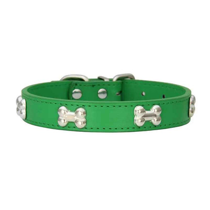 collier chien elgancecuir vert