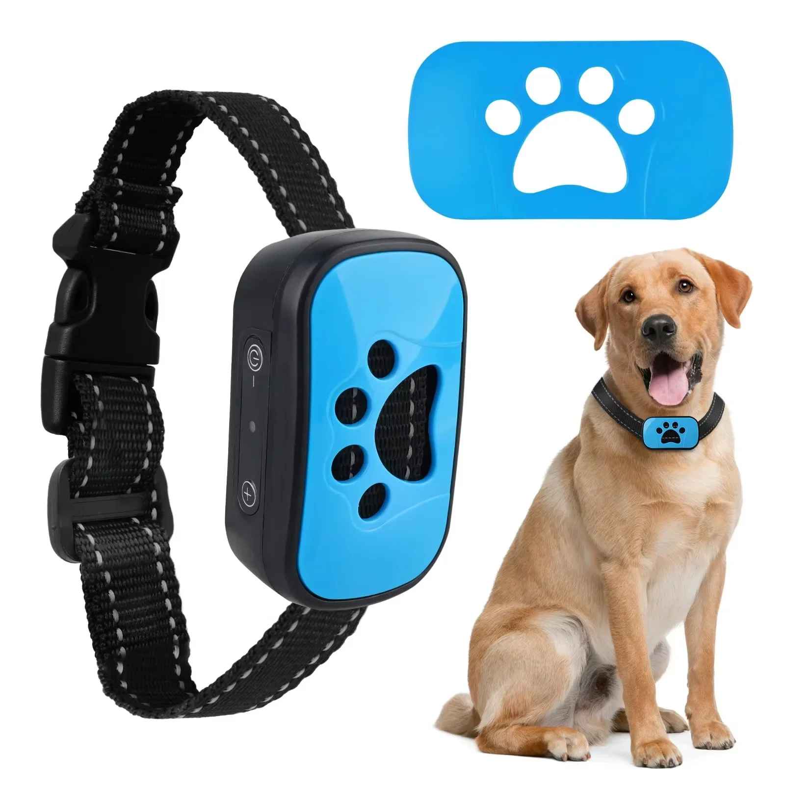 collier de dressage pour chien patte bleu