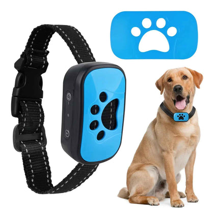 collier de dressage pour chien patte bleu