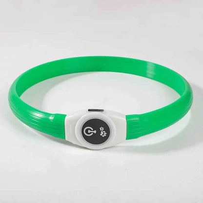 collier lumineux chien safenight vert