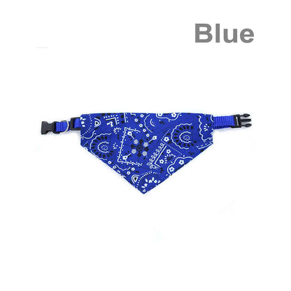 collier pour chien bandana bleu