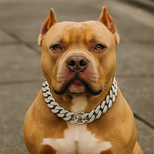collier pour chien cubainluxe