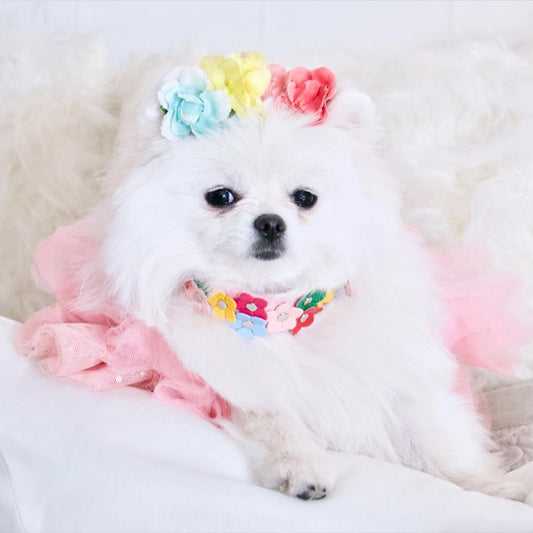 collier pour chien fleurie