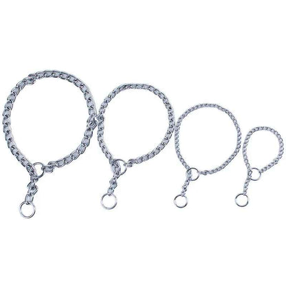 collier pour chien metallic model