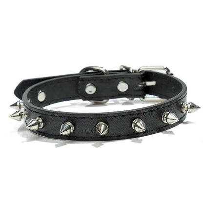collier pour chien rockstyle noir
