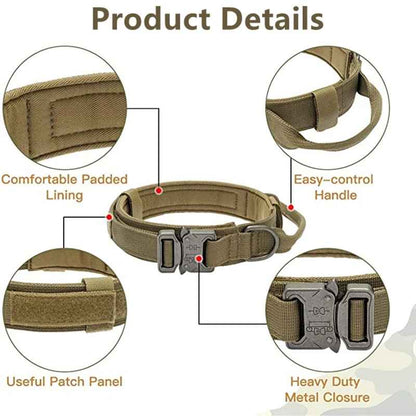 collier pour chien tacticalpro fiche