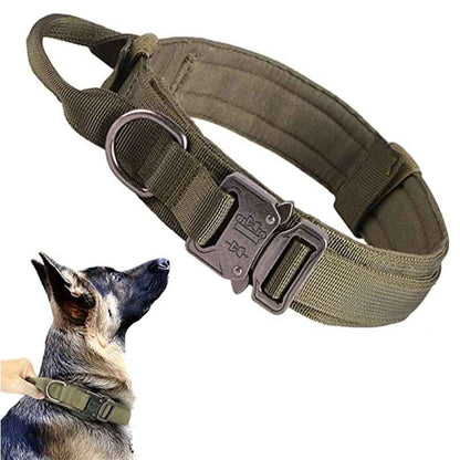 Collier pour chien  TacticalPro ™