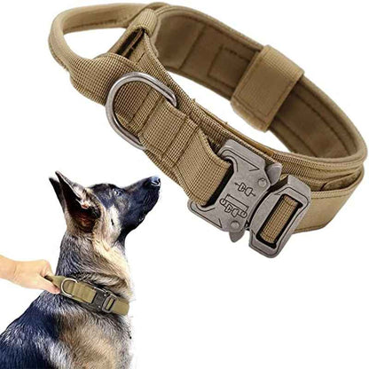 collier pour chien tacticalpro kaki