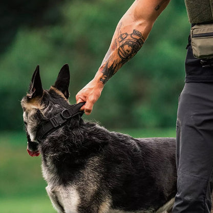 collier pour chien tacticalpro pelouses