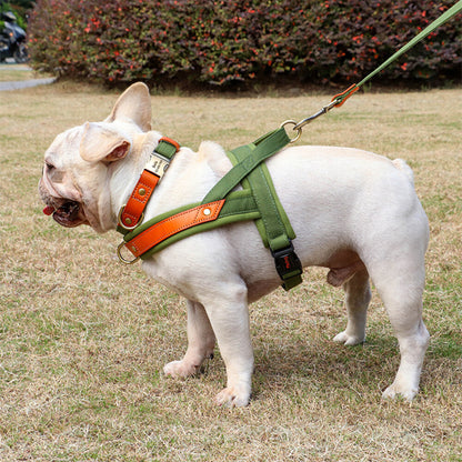 harnais chien anti traction ergonomique balade