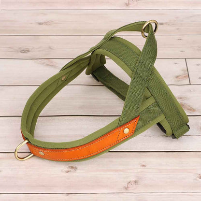 harnais chien anti traction-ergonomique bleu vert militaire