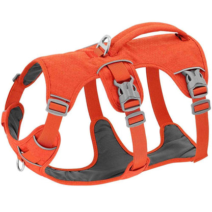 harnais chien balade serein orange
