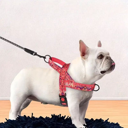 Harnais pour Chien - DogSafeHarness™ - Rouge - Elégance Toutou