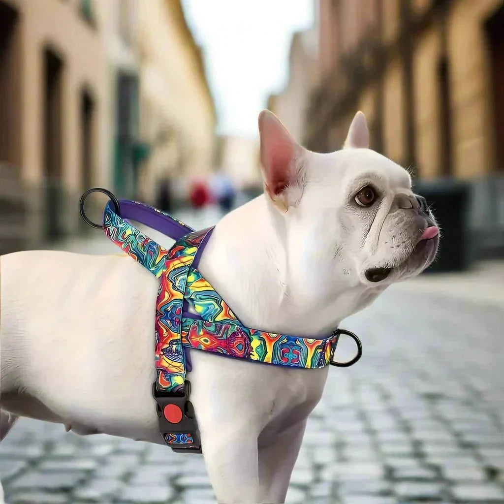Harnais pour Chien - DogSafeHarness™ - Violet - Elégance Toutou