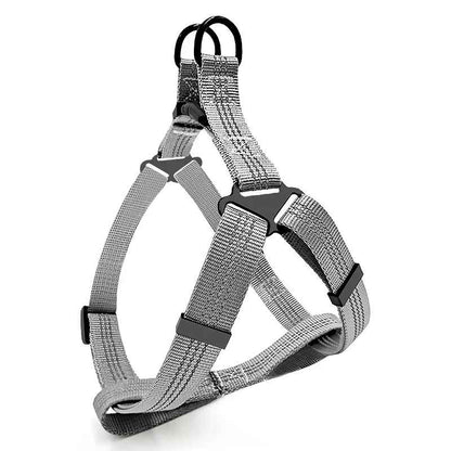 harnais pour chien nylonsecurity gris