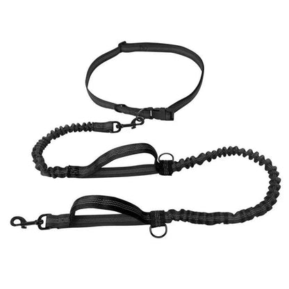 laisse canicross flexamortissante noir