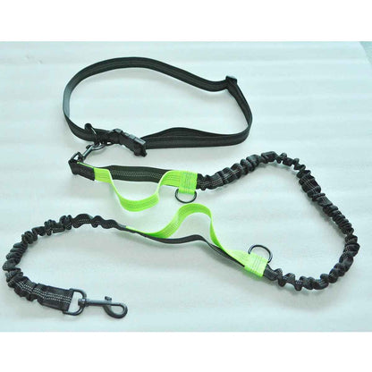 laisse canicross flexamortissante vert