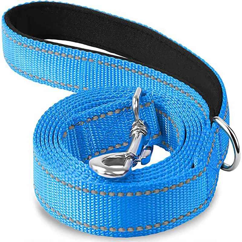 Laisse pour Chien Ergonomique  PawComfort ™