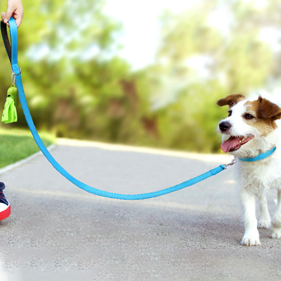 laisse chien pawconfort chien ballade