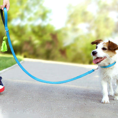 laisse chien pawconfort chien ballade