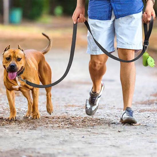 laisse chien pawconfort maitre
