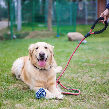 Laisse de chien robuste  SécuriPromenade ™