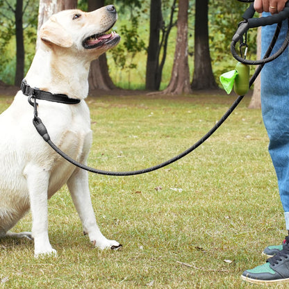 laisse de chien securiprom regard