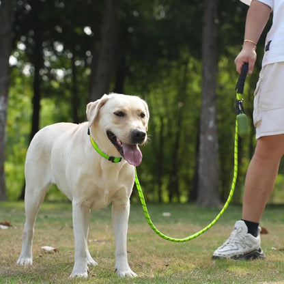 laisse de chien securiprom