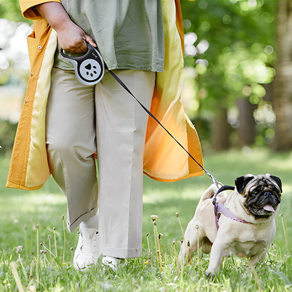 laisse pour chien freedog avec femme