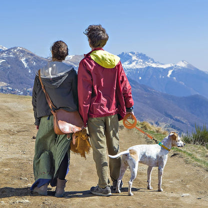 longe pour chien robuste montagne