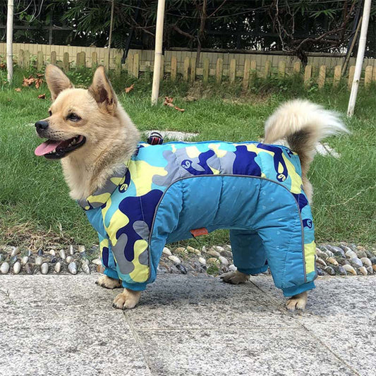 manteau chien douillet