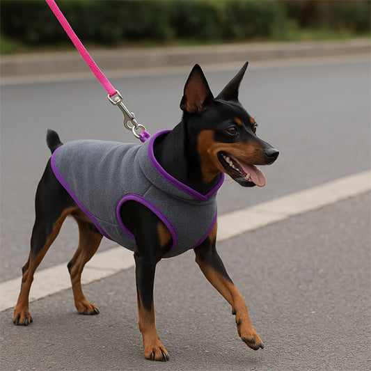 manteau pour chien hevernal